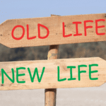 Wie du deine Träume verwirklichst