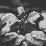 Die Seelische Ursache der Krankheiten